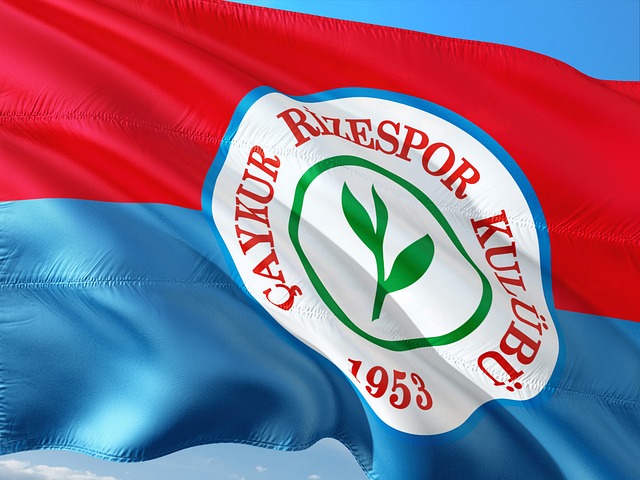 的精准指挥 的精准指挥