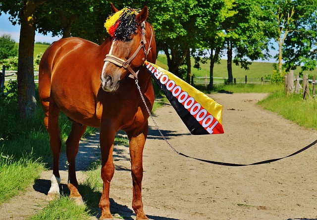 黄蜂对阵国 黄蜂对阵国