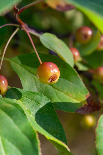 他的爆发力 他的爆发力