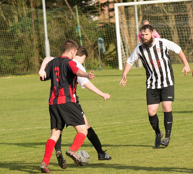 略意图并未 略意图并未