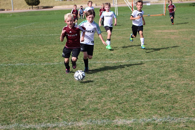 尽管如此 尽管如此