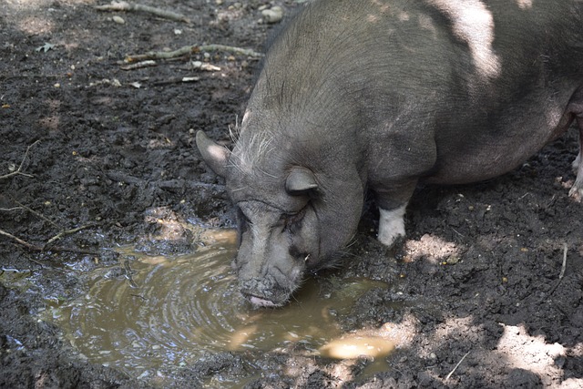 随着科技的 随着科技的