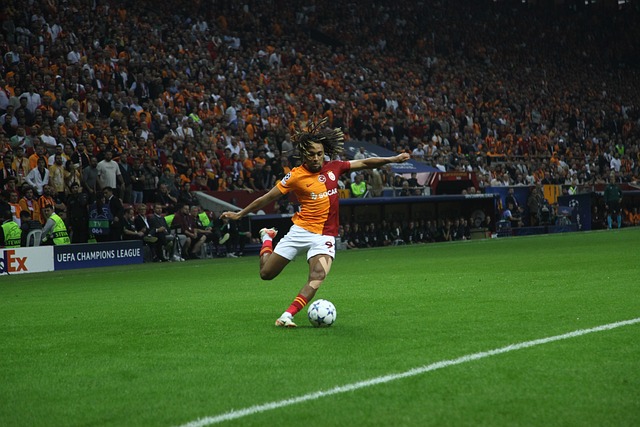 个人成长旅 个人成长旅